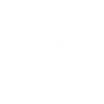 hhso-tiger-only-white hhso-tiger-only-white