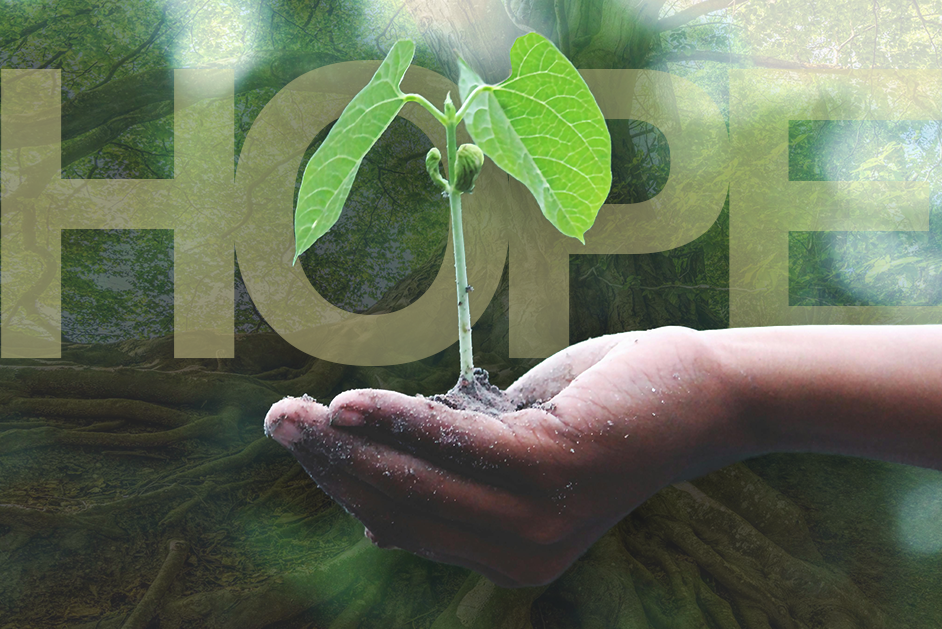 Hope Can Lead To… Growth That Lasts a Lifetime (Part I)