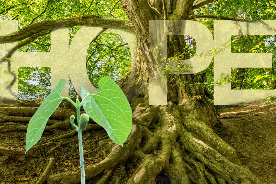 Hope Can Lead To… Growth That Lasts a Lifetime (Part 2)