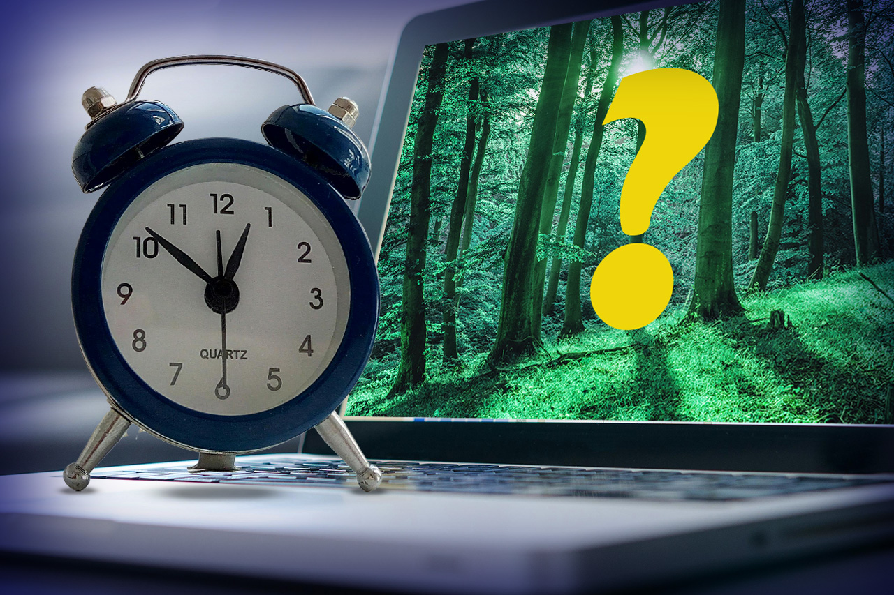 online high school decision looking through a forest