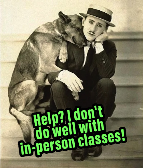 Help? I don't do well with in-person classes!