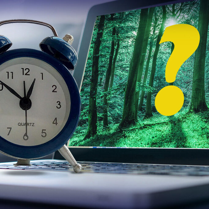 online high school decision looking through a forest