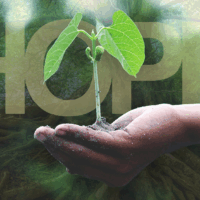 Hope Can Lead To… Growth That Lasts a Lifetime (Part I)