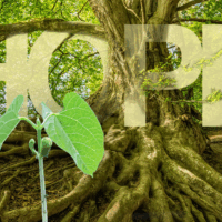 Hope Can Lead To… Growth That Lasts a Lifetime (Part 2)